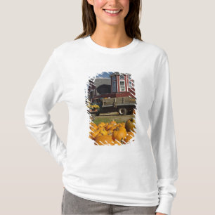 Kürbisse auf dem Bauernhof im Herbst in der Nähe v T-Shirt