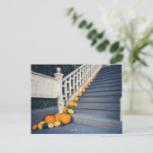 Kürbisse auf der Treppe Postkarte (Stehend Vorderseite)