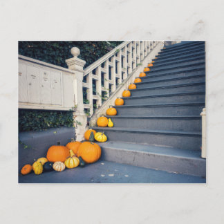 Kürbisse auf der Treppe Postkarte