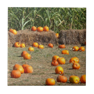 Kürbisse, Mais und Heu Herbst Ernte Fotografie Fliese