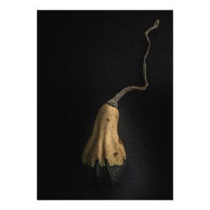 Kürbisse Nr. 12 Farbversion Fotodruck