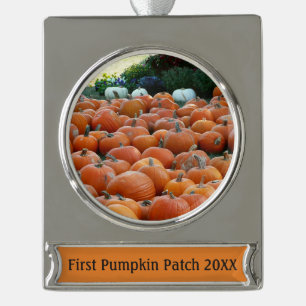 Kürbisse und Chrysanthemen Herbst-Ernte-Fotografie Banner-Ornament Silber