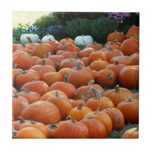Kürbisse und Chrysanthemen Herbst-Ernte-Fotografie Fliese
