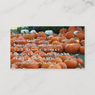 Kürbisse und Chrysanthemen Herbst-Ernte-Fotografie Visitenkarte