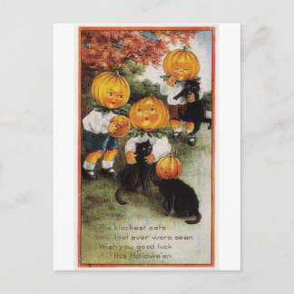 Kürbisse und Katzen Vintage Halloween Postkarte