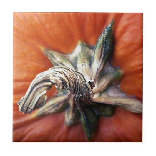 Kürbisspirale Fliese (Vorderseite)