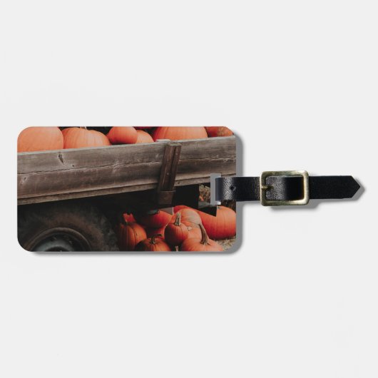 Kürbiswagen Gepäckanhänger (Vorderseite horizontal)