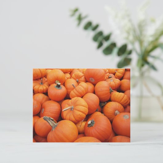 Kürbiszeit Postkarte (Stehend Vorderseite)