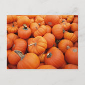 Kürbiszeit Postkarte (Vorderseite)