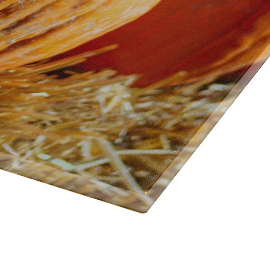 Kürbiszeitschneider Schneidebrett (Ecke)