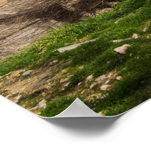 Kurdish Temple Building Poster (Ecke)