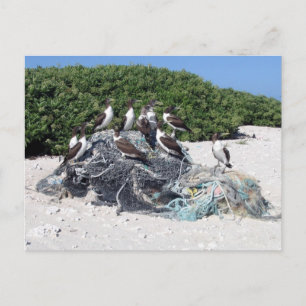 Kure Atoll Beach Debris Postkarte