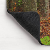 Kuri-Bäume| Neuseeland Mousepad (Ecke)