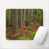 Kuri-Bäume| Neuseeland Mousepad (Mit Mouse)