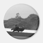 Kuriertauben Magnet (Vorne)