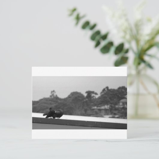 Kuriertauben Postkarte (Stehend Vorderseite)