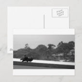 Kuriertauben Postkarte (Vorne/Hinten)