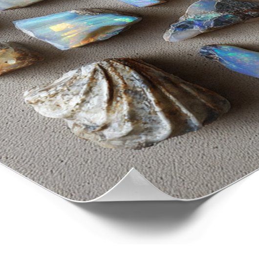 Kurierte Sammlung kleiner opalisierter Fossilien Poster (Ecke)