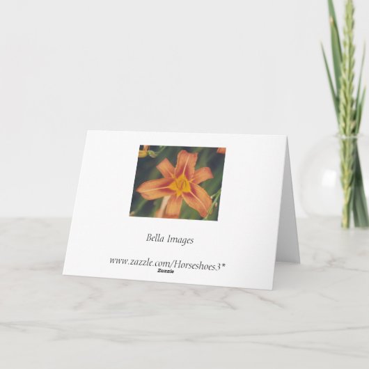 Kurioses Libellengedicht - Karte (Rückseite)