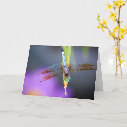 Kurioses Libellengedicht - Karte (Gelbe Blume)