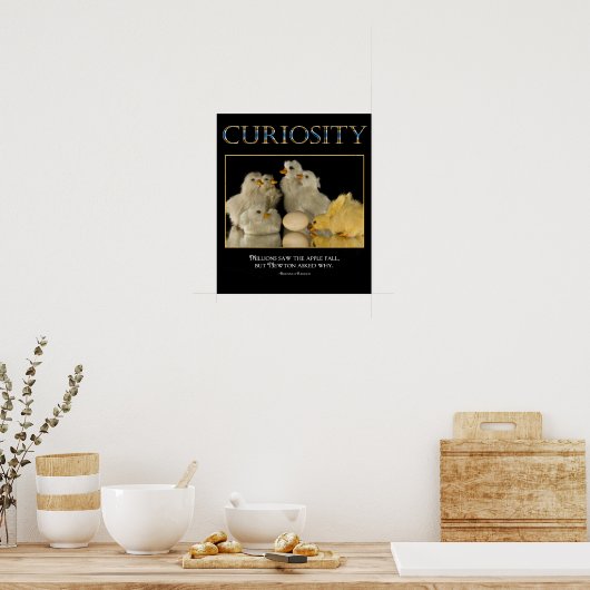 KURIOSITÄTPoster Poster (Küche)