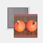 Kürme auf einem Holztisch Magnet (Vorderseite/Rückseite)