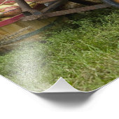 Kürme in alten Wagen Fotodruck (Ecke)