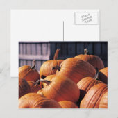 Kürme in einer Bin Postkarte (Vorne/Hinten)