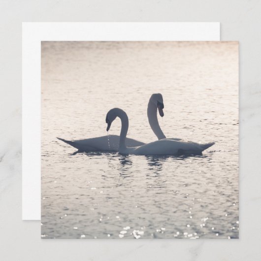 Kurskarte (Vorne/Hinten)