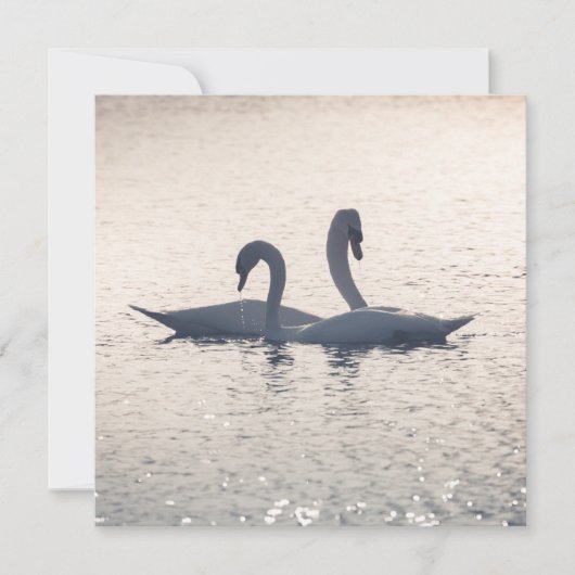 Kurskarte (Vorderseite)