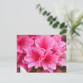Kurume Azalea Postkarte (Stehend Vorderseite)