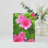 Kurume Azalea Postkarte (Stehend Vorderseite)
