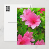 Kurume Azalea Postkarte (Vorne/Hinten)