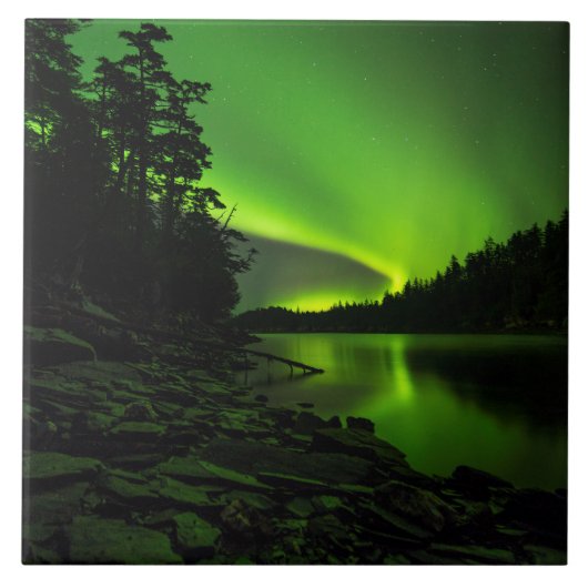 Kurven Fliese (Vorderseite)