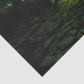 Kurven Seidenpapier (Ausschnitt)