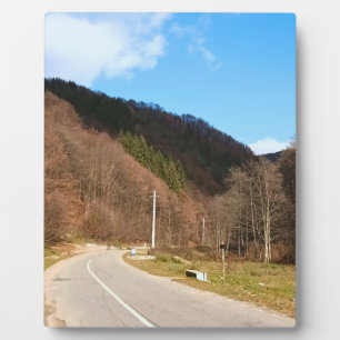 Kurvenreiche Straße durch den Wald – Wilde Natur R Fotoplatte