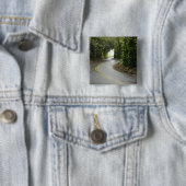 Kurvenreiche Straßen durch Regenwald, Insel von Button (Beispiel)