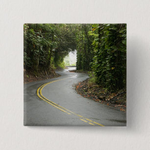 Kurvenreiche Straßen durch Regenwald, Insel von Button