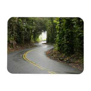 Kurvenreiche Straßen durch Regenwald, Insel von Magnet