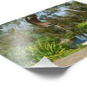 kurvenreiches Wasser Fotodruck (Ecke)