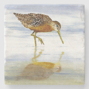 Kurz-Berechneter Dowitcher-Untersetzer Steinuntersetzer