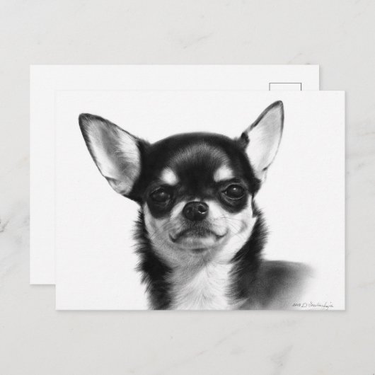 Kurz gehärtetes Chihuahua-Handgemälde Postkarte (Vorne/Hinten)