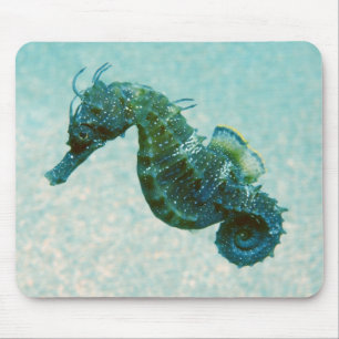 Kurz-Geschnüffeltes Seepferd   Krim, Russland Mousepad