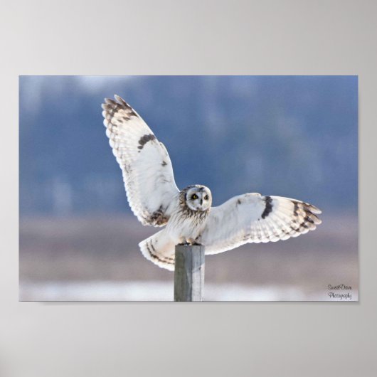 Kurz gezogene Schleppanlandung Poster (Vorne)