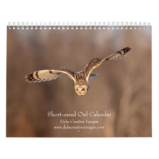 Kurz gezogenes Owl 2026 Kalender (Titelbild)