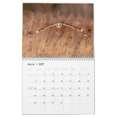 Kurz gezogenes Owl 2026 Kalender (Mär 2027)