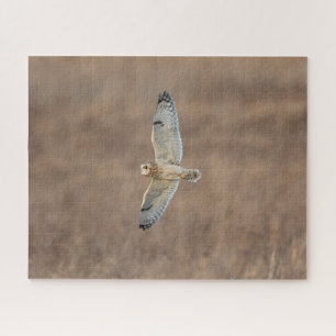 Kurz gezogenes Owl Puzzle