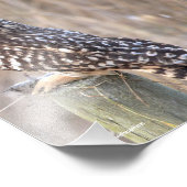 Kurz gezogenes Schälchen mit Lol Fotodruck (Ecke)