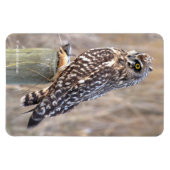 Kurz gezogenes Schälchen mit Lol Magnet (Horizontal)