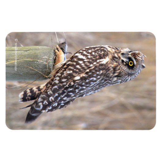 Kurz gezogenes Schälchen mit Lol Magnet (Horizontal)